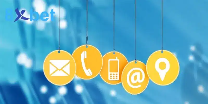 Giải đáp thắc mắc quen thuộc khi liên hệ nhà cái 8XBET